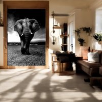 Placas Decorativas de Animais Silvestres