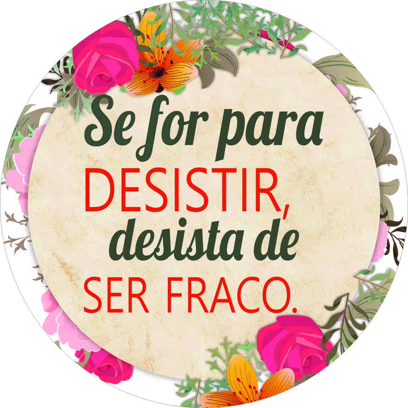 Placa Decorativa Frases de Motivação Nunca Desista 30x40cm