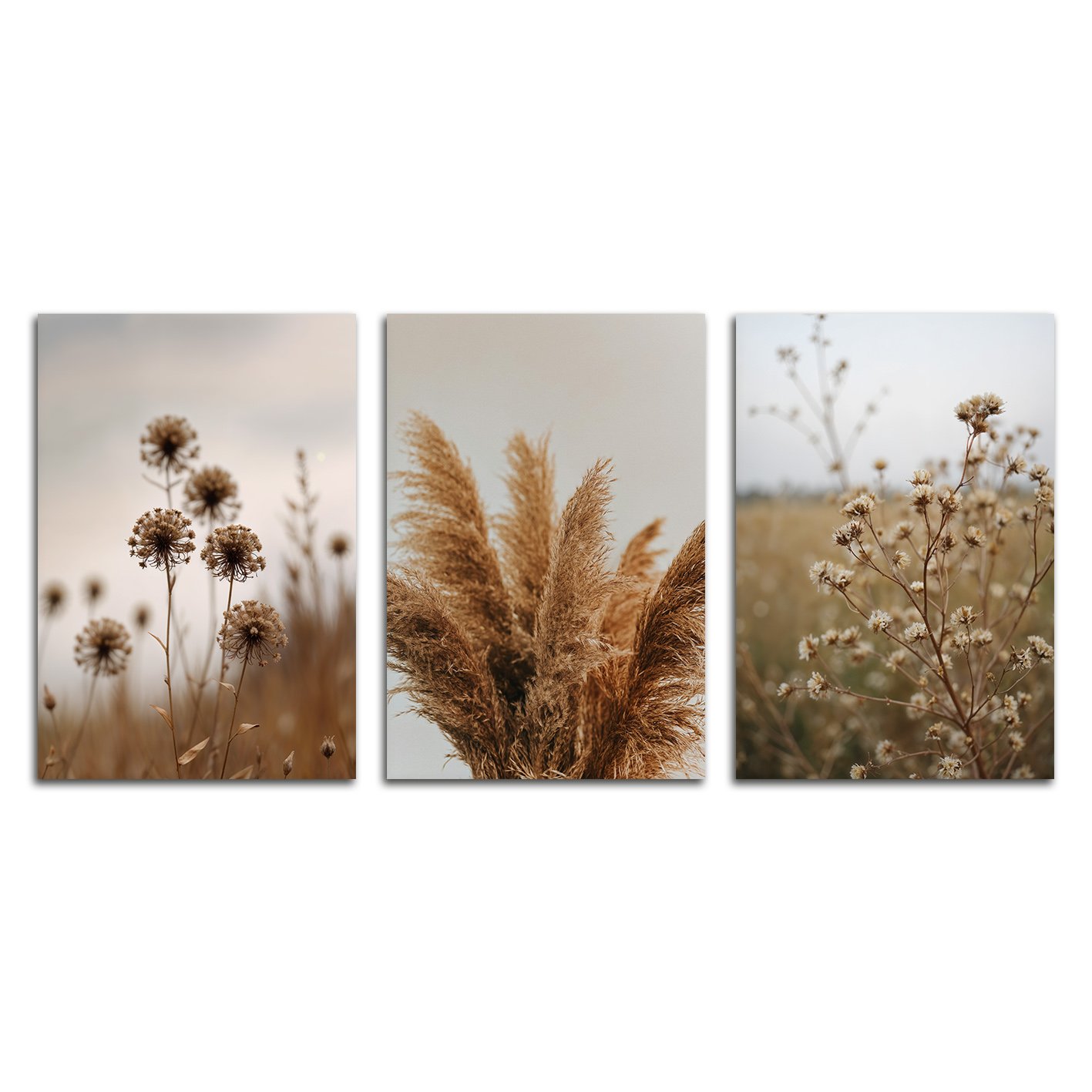 Kit 3 Placas Decorativas natureza Minimalista