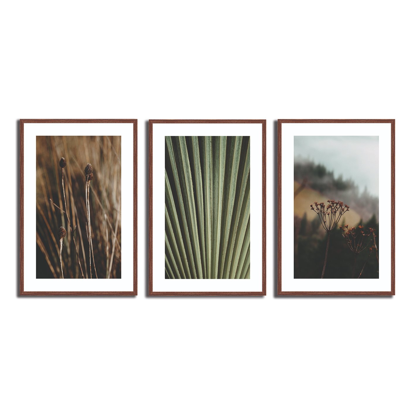 Kit 3 Quadros Decorativos Natureza Minimalista