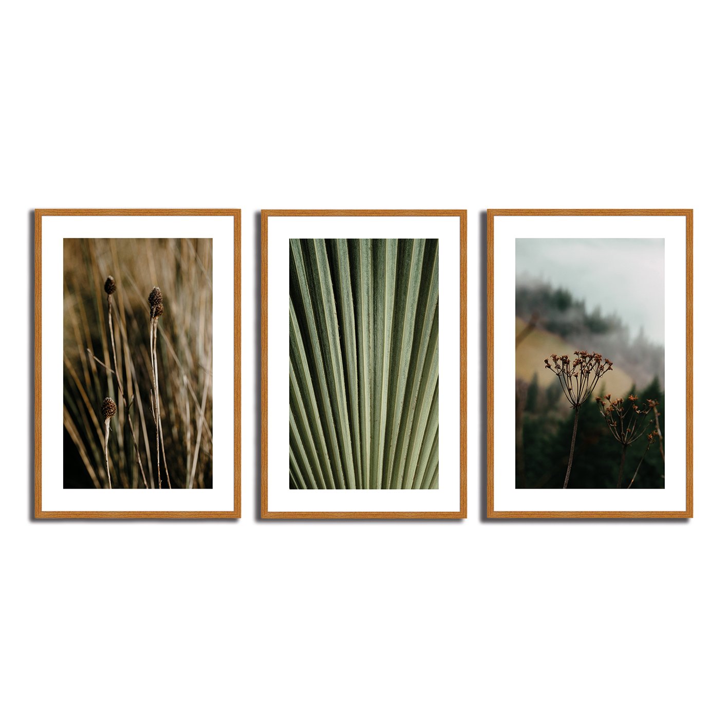 Kit 3 Quadros Decorativos Natureza Minimalista