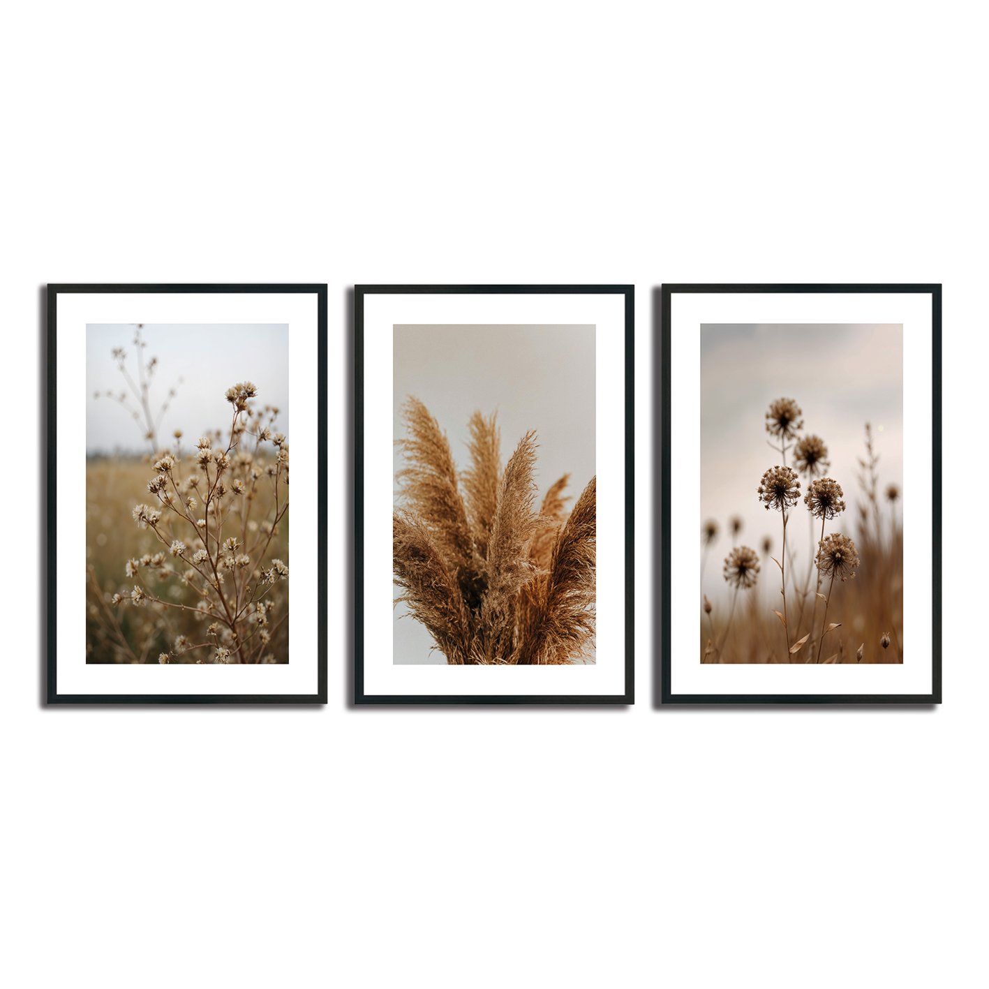 Kit 3 Quadros Decorativos Natureza Minimalista