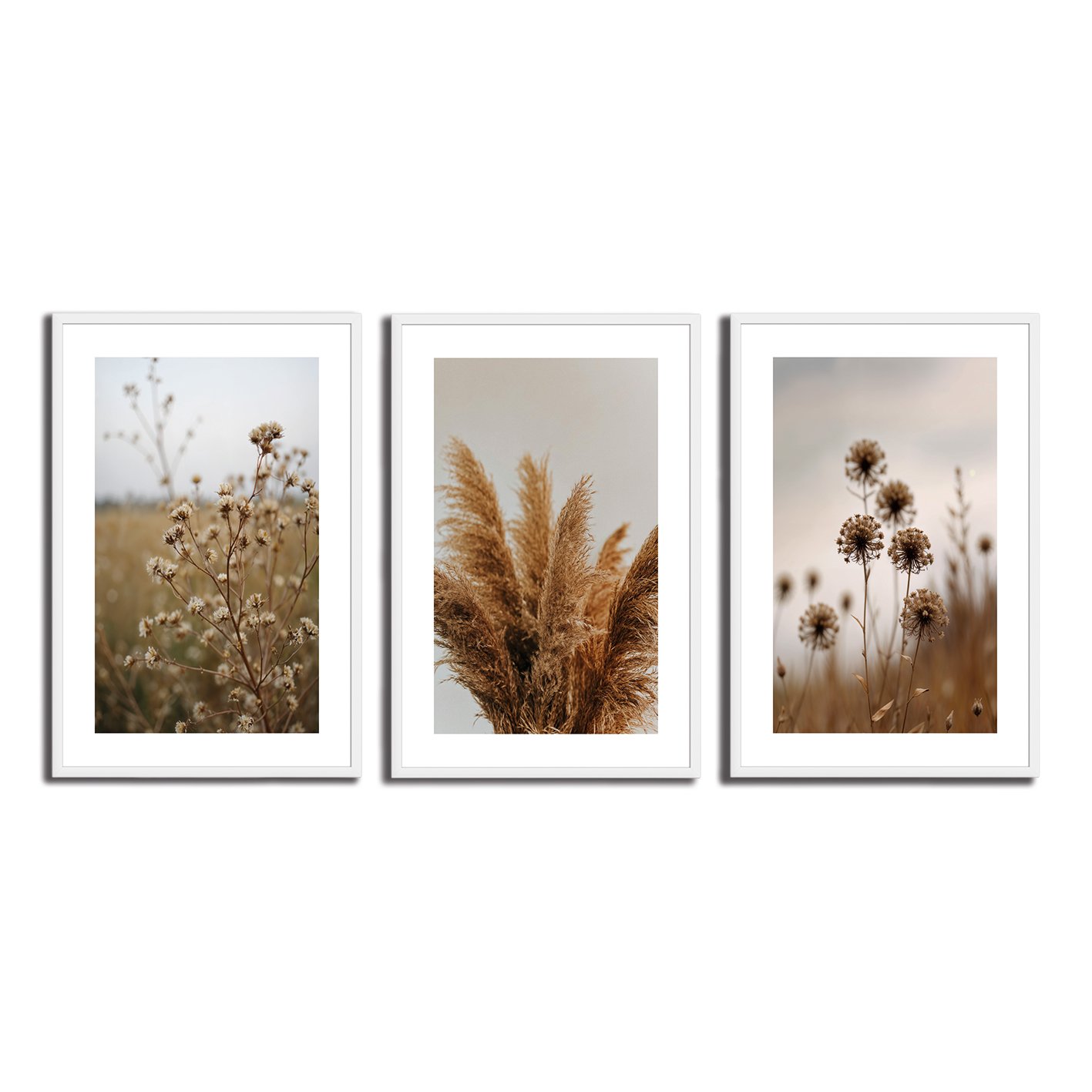 Kit 3 Quadros Decorativos Natureza Minimalista