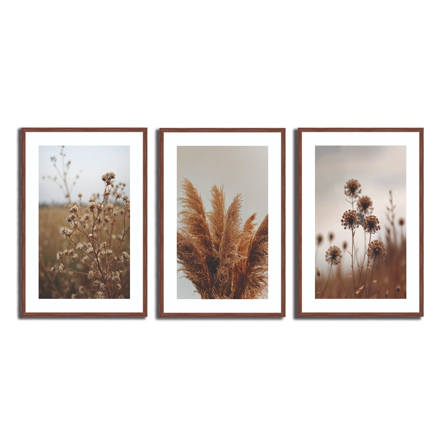 Kit 3 Quadros Decorativos Natureza Minimalista