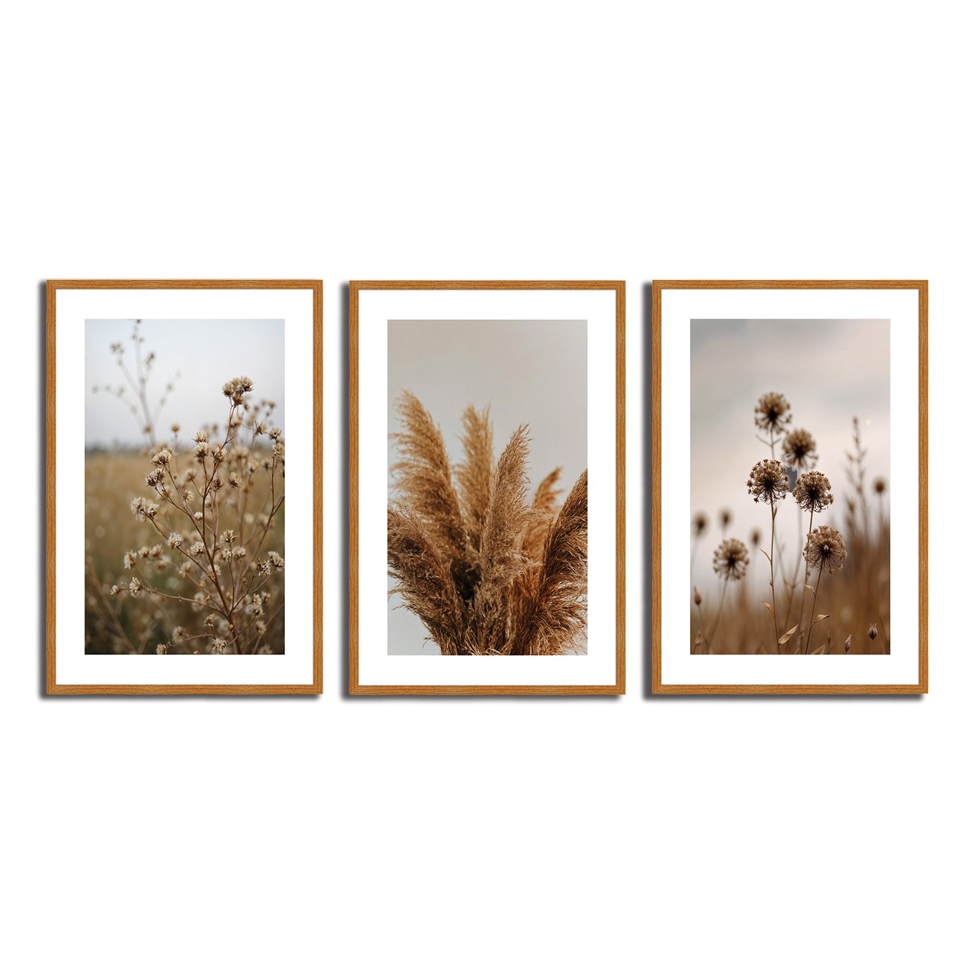 Kit 3 Quadros Decorativos Natureza Minimalista