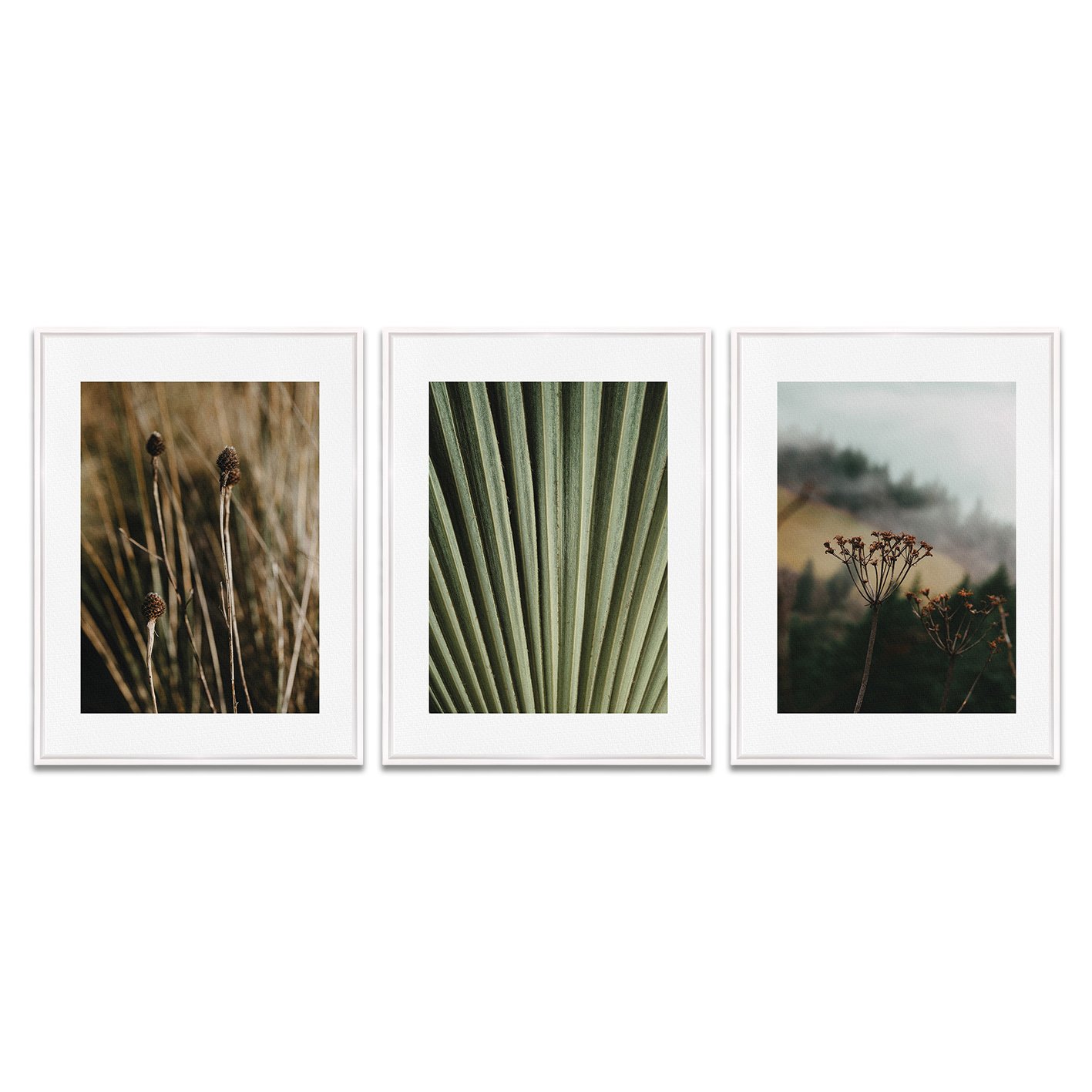 Kit 3 Quadros em Telas Canvas Natureza Minimalista
