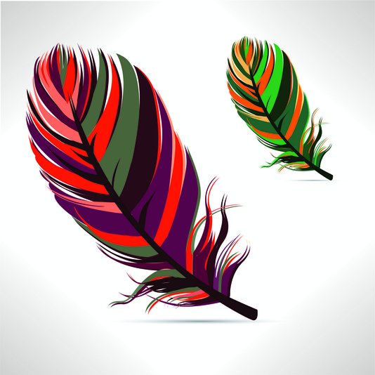 Placa Decorativa Penas Coloridas