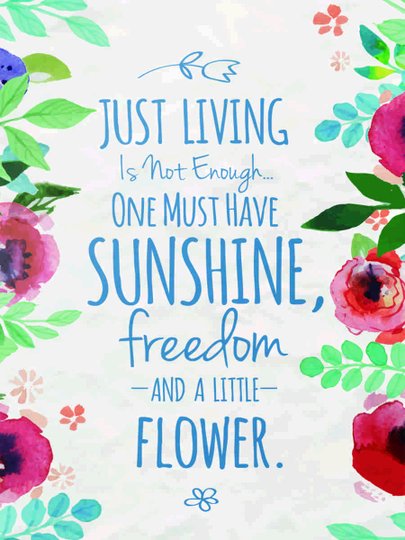 Placa Decorativa Frase Just Living is Not Enough one Must Have Sunshine, Freedom and a Little Flower