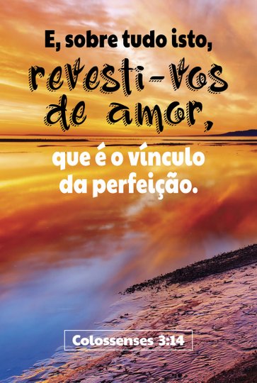 Placa Decorativa Versículo Bíblico Colossenses 3:14
