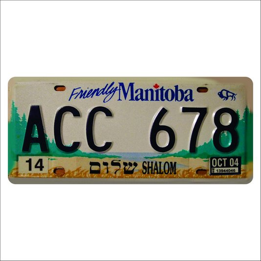 Placa Decorativa Vintage de Carro em Mdf - Friendly Manitoba