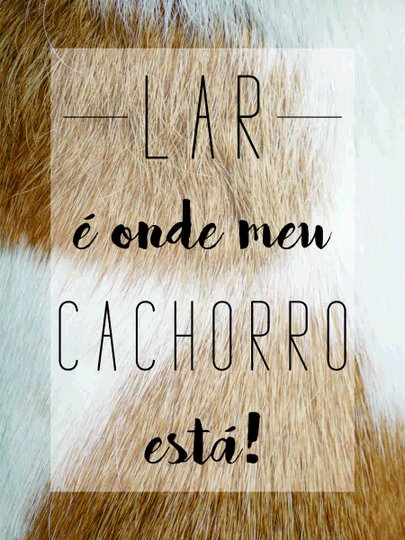 Placa Decorativa Frase Lar é Onde Meu Cachorro Está