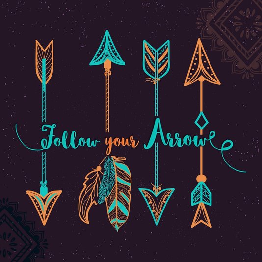 Placa Decorativa Frase: Follow Your Arrow