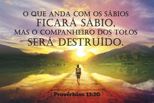 Placa Decorativa Versículo Bíblico Provérbios 13:20