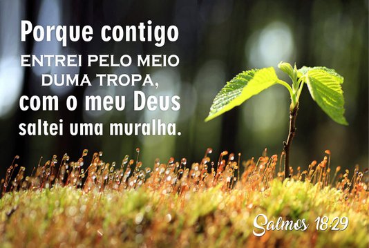 Placa Decorativa Bíblico Salmos 18:29