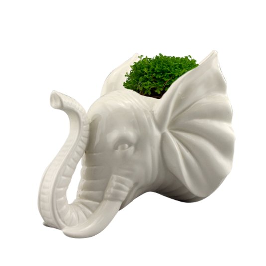 Vaso Cachepô Cerâmica de Parede Elefante - URBAN