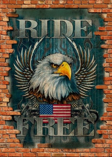 Placa Decorativa Vintage Ride Free