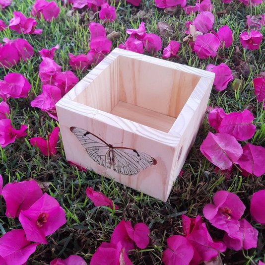 Cachepô Decorativo de Pinus com Estampa - Borboleta 15x15x10