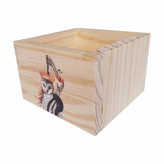 Cachepô Decorativo de Pinus com Estampa - Coruja com Harpa 15x15x10