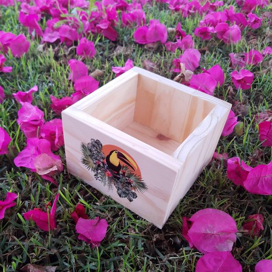 Cachepô Decorativo de Pinus com Estampa - Tucano e Folhagens 15x15x10