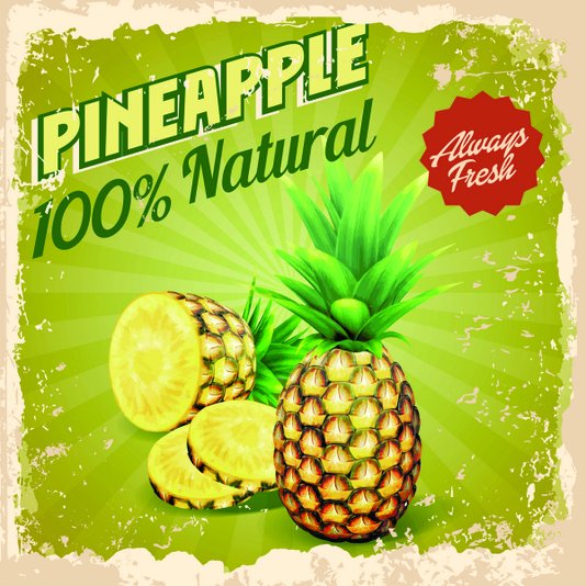 Placa Decorativa Pineapple 100% Natural Always Fresh