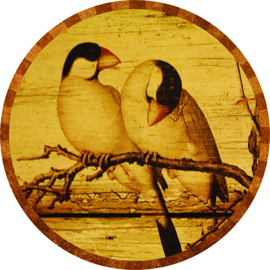 Placa Decorativa Redonda Pássaros