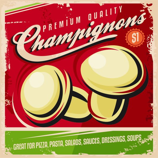 Placa Decorativa Champignons Premium Quality