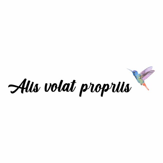 Frase de Parede Alis Volat Propriis - Beija-Flor