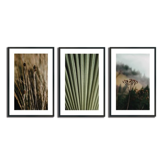 Kit 3 Quadros Decorativos Natureza Minimalista
