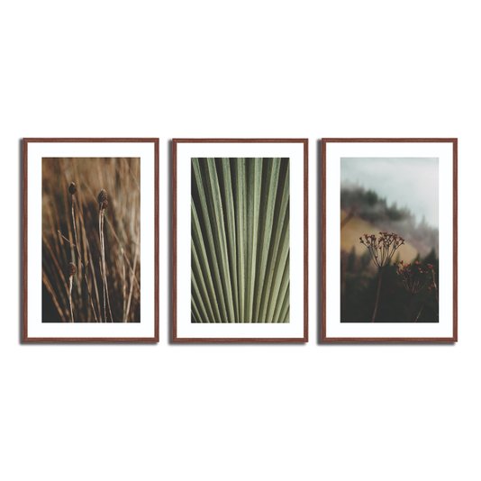 Kit 3 Quadros Decorativos Natureza Minimalista