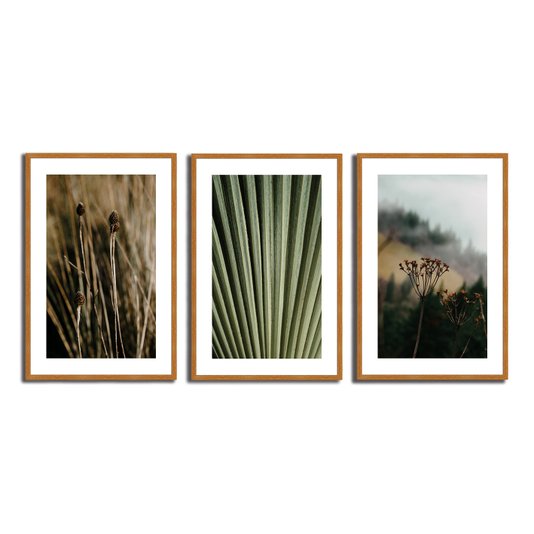Kit 3 Quadros Decorativos Natureza Minimalista