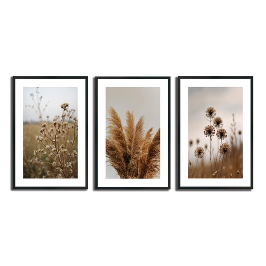 Kit 3 Quadros Decorativos Natureza Minimalista