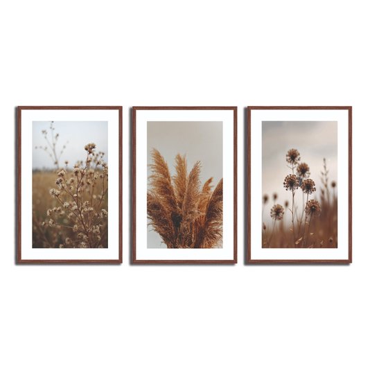 Kit 3 Quadros Decorativos Natureza Minimalista