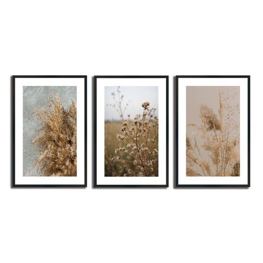 Kit 3 Quadros Decorativos Natureza Minimalista