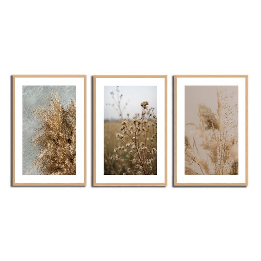 Kit 3 Quadros Decorativos Natureza Minimalista