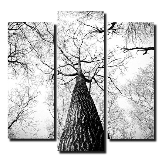 Kit de Quadros Decorativos Árvores no Outono Preto e Branco