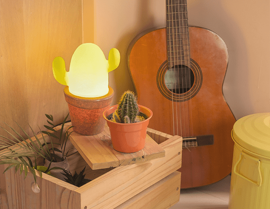 Luminária Cactus Verde - Um Pouco do México Para a Sua Casa - USARE