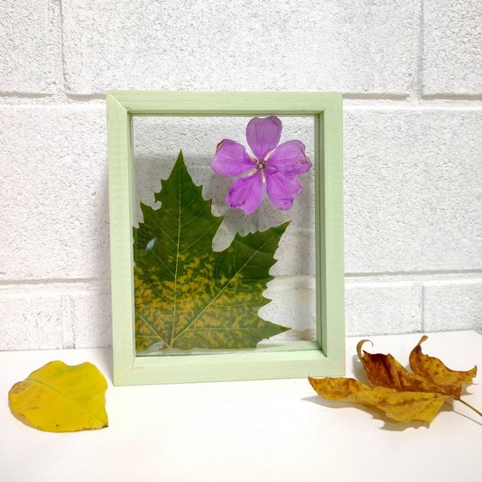 Moldura Dupla Face em Madeira de Pinus com Duplo PS Cristal Transparente - 1,5x4,5