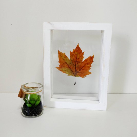 Moldura Dupla Face em Madeira de Pinus com Duplo PS Cristal Transparente - 1,5x4,5