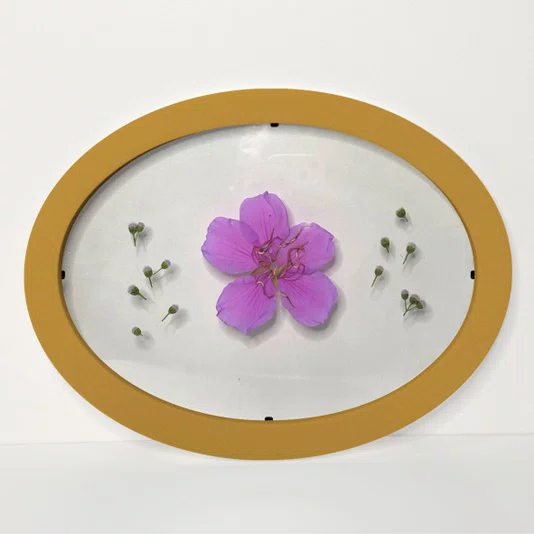 Moldura Oval Sanduiche Colorida em MDF Laqueado com Duplo PS Cristal Transparente