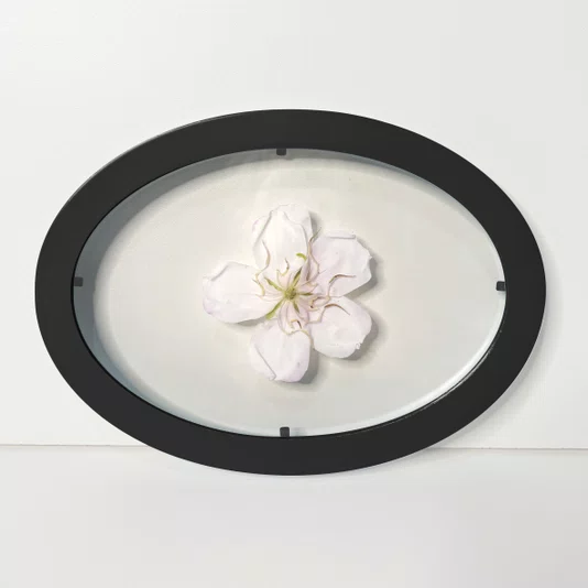 Moldura Oval Sanduiche Colorida em MDF Laqueado com Duplo PS Cristal Transparente