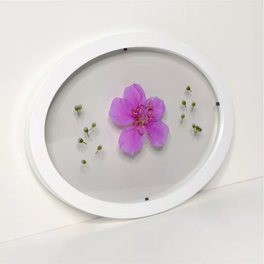 Moldura Oval Sanduiche Colorida em MDF Laqueado com Duplo PS Cristal Transparente