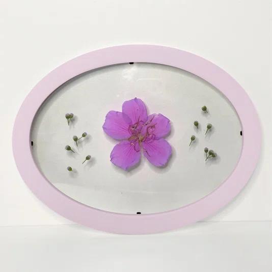 Moldura Oval Sanduiche Colorida em MDF Laqueado com Duplo PS Cristal Transparente