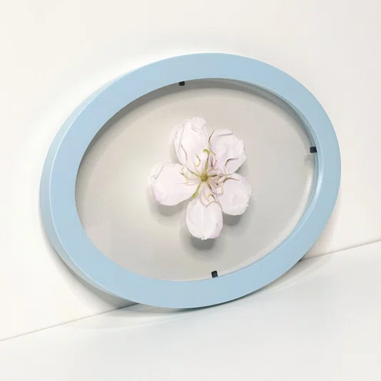 Moldura Oval Sanduiche Colorida em MDF Laqueado com Duplo PS Cristal Transparente