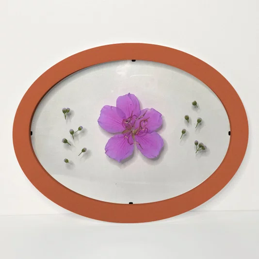Moldura Oval Sanduiche Colorida em MDF Laqueado com Duplo PS Cristal Transparente