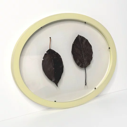 Moldura Oval Sanduiche Colorida em MDF Laqueado com Duplo PS Cristal Transparente
