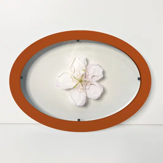 Moldura Oval Sanduiche Colorida em MDF Laqueado com Duplo PS Cristal Transparente