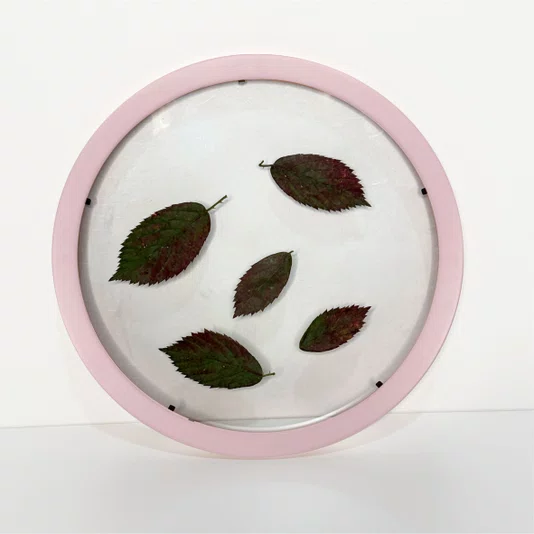 Moldura Redonda Sanduiche Colorida em MDF Laqueado com Duplo PS Transparente