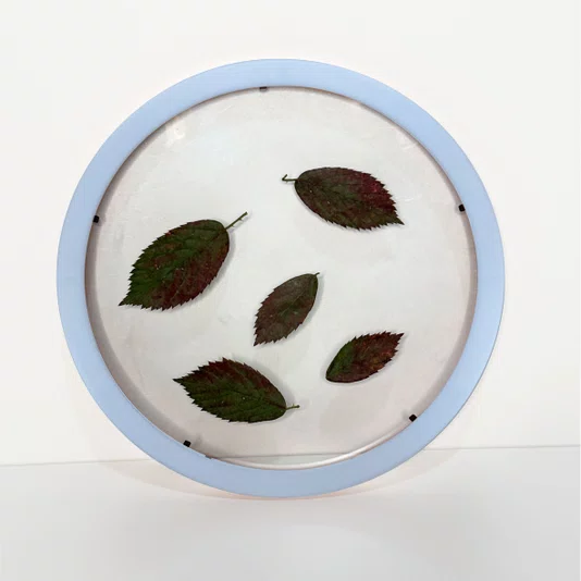 Moldura Redonda Sanduiche Colorida em MDF Laqueado com Duplo PS Transparente