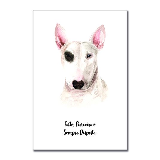 Placa Decorativa Cachorro Bull Terrier Características da Raça