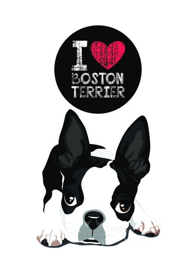 Placa Decorativa Cachorro Frase: "I Love Boston Terrier" Branco